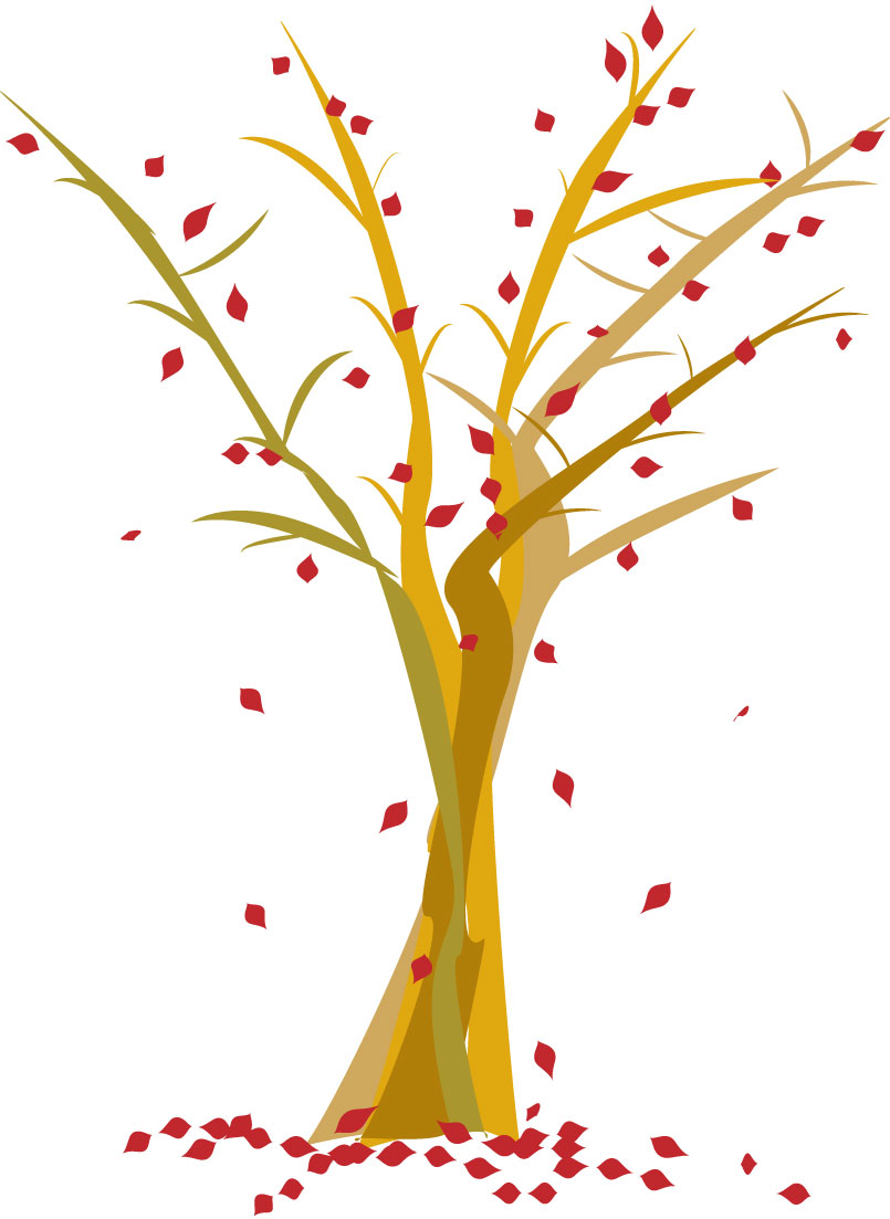 Cursos y talleres de otoño para preparar el invierno (Pazas agotadas)